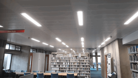 Led Lights